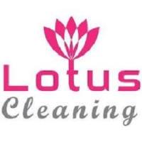 Lotus Carpet Steam Cleaning Notting Hill image 1